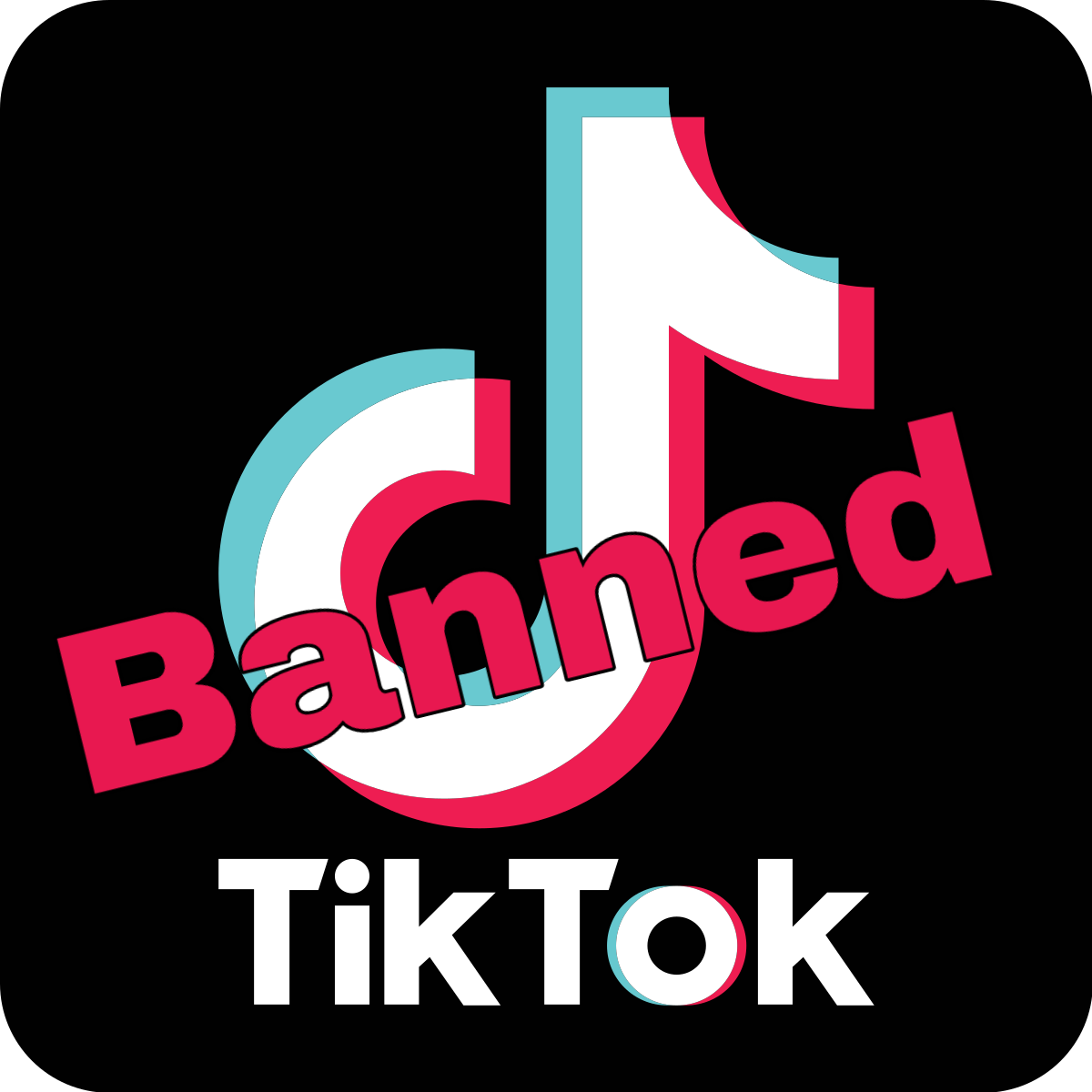 tik tok banned in india